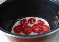 помидоры порежьте кружочками и выложите на тесто, приправьте солью и специями