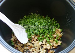 Выключите мультиварку, приправьте грибы солью и специями, добавьте зеленый лук, перемешайте